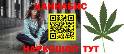 стафф Донской