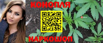 стафф Донской