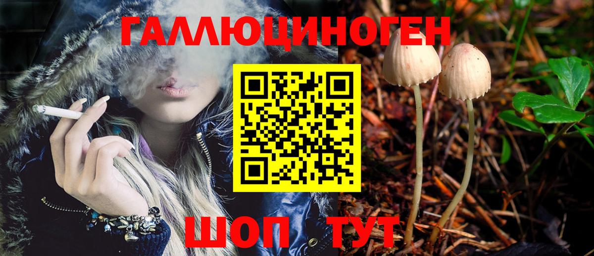 Псилоцибиновые грибы Psilocybine cubensis  Вход с VPN  Лысьва 